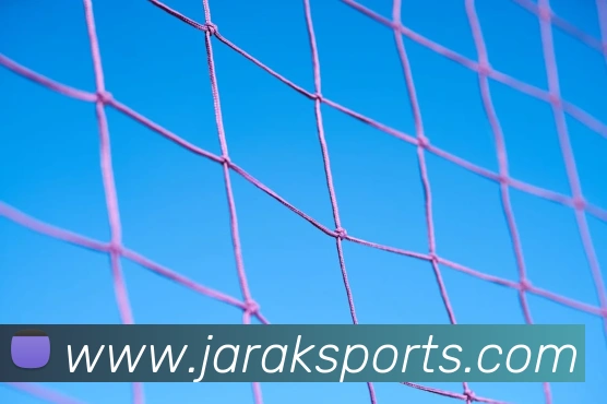 球赛投注平台生态图